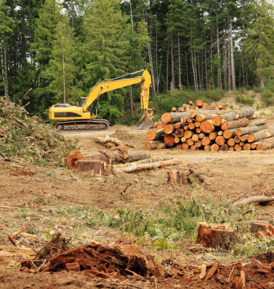 diagnostic écologique identification des perturbations