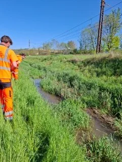 Méthode rigoureuse chelonia environnement
