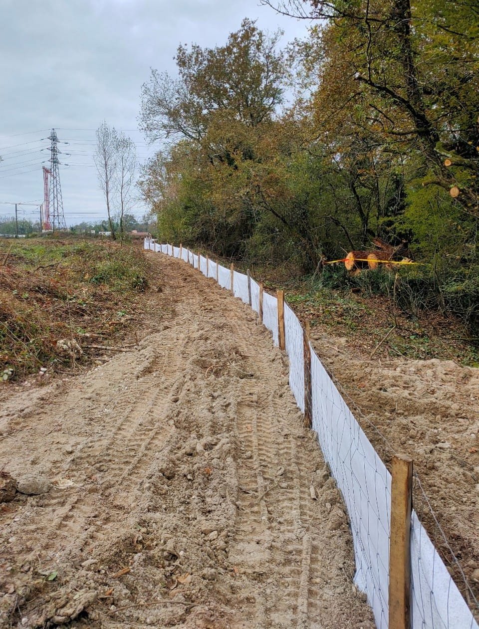 chelonia environnement coordination des acteurs